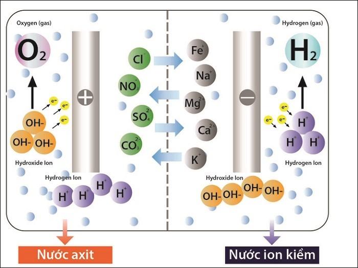 may-loc-nuoc-ion-kiem-9-1